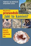 polish book : Jaki to ka... - Żbikowski Radosław