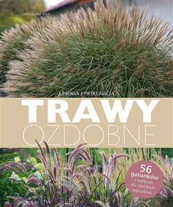 Obrazek Trawy ozdobne