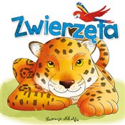 polish book : Zwierzęta - Nik Afia (ilustr.)