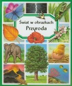Książka : Przyroda Ś... - Emilie Beaumont, Marie-Renee Guilloret