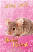 Animal Mag... - Holly Webb - Ksiegarnia w UK