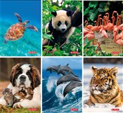 Zeszyt A5 ... - Ksiegarnia w UK