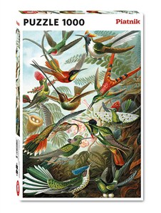 Picture of Puzzle 1000 Haeckel Kolibry