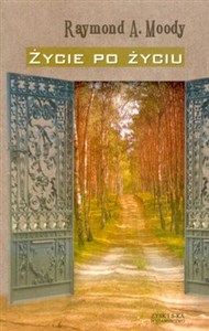 Obrazek Życie po życiu