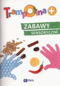 Obrazek Trampolina+ Zabawy sensoryczne