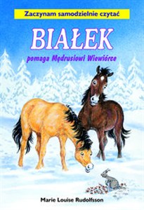 Picture of Białek pomaga Mędrusiowi Wiewiórce