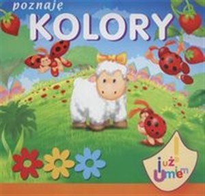 Obrazek Poznaję kolory Już umiem