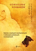 Oświecenie... - Tomasz Teodorczyk -  foreign books in polish 