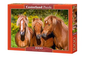 Obrazek Puzzle 1000 Horse Friends