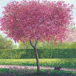 Picture of Karnet z kopertą Jabłoń kwiecista