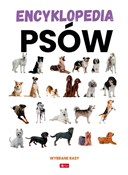 Encykloped... - Agnieszka Nojszewska -  books from Poland