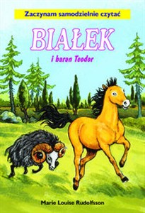 Picture of Białek i Baran Teodor