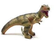 Dinozaur -  books in polish 