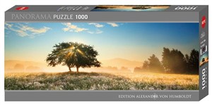 Picture of Puzzle 1000 Zabawa światłem