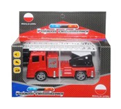 polish book : Auto z pol...