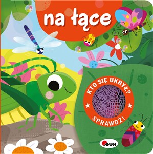 Picture of Kto się ukrył na łące z klapkami sensoryczna