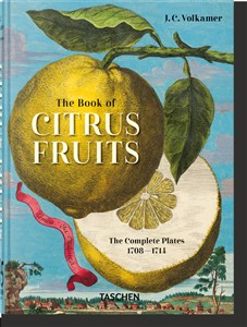 Picture of J. C. Volkamer. The Book of Citrus Fruits. 45th Ed.