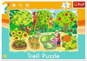 Picture of 15 ramkowe Ogród