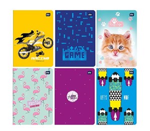 Obrazek Zeszyt A5/16K kratka Hybrid (20szt)