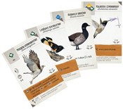 polish book : Gra Na skr...