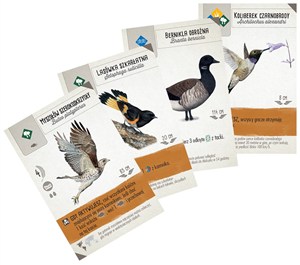 Obrazek Gra Na skrzydłach Szybki start dodatek