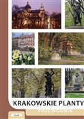 Zobacz : Krakowskie... - Andrzej Kozioł