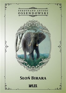 Obrazek Słoń Birara