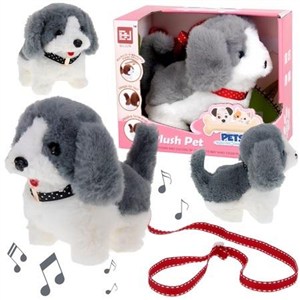 Picture of Pies interaktywny