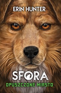 Picture of Sfora 1 Opuszczone miasto