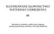 Ilustrowan... -  Polish Bookstore 
