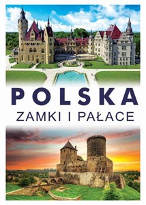 Obrazek Polska Zamki i pałace