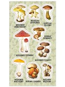 Książka : Naklejki T...