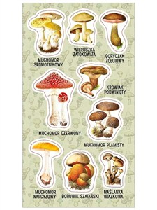 Obrazek Naklejki Trujące grzyby
