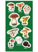 Polska książka : Naklejki G...