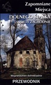 Zapomniane... - Opracowanie Zbiorowe -  books in polish 