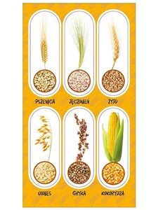 Obrazek Naklejki Zboża