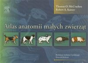 Obrazek Atlas anatomii małych zwierząt