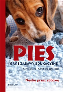 Obrazek Pies. Gry i zabawy edukacyjne