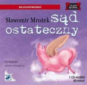 Obrazek [Audiobook] Sąd ostateczny