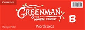 Obrazek Greenman and the Magic Forest B Wordcards (Pack of 48)