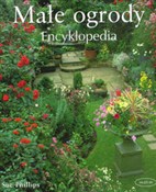 Polska książka : Małe ogrod... - Sue Phillips