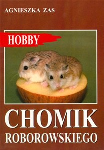Obrazek Chomik Roborowskiego