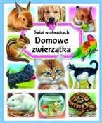 Domowe zwi... - Emilie Beaumont, Patricia Reinig -  foreign books in polish 