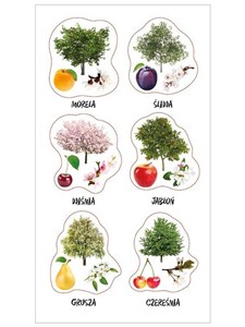 Picture of Naklejki Polski sad