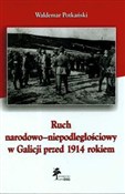 Zobacz : Ruch narod... - Waldemar Potkański