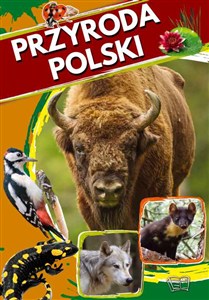 Obrazek Przyroda Polski