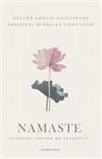 Namaste Hi... - Héctor García Puigcerver, Francesc Miralles Contijoch -  books from Poland