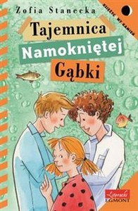 Obrazek Tajemnica namokniętej gąbki