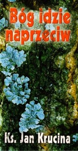 Obrazek Bóg idzie naprzeciw