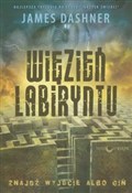 Więzień La... - James Dashner -  foreign books in polish 